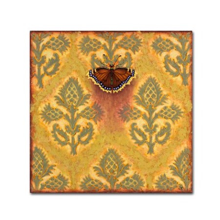 Trademark Fine Art Rachel Paxton 'Allandale Mourning Cloak' Canvas Art, 35x35 ALI2549-C3535GG